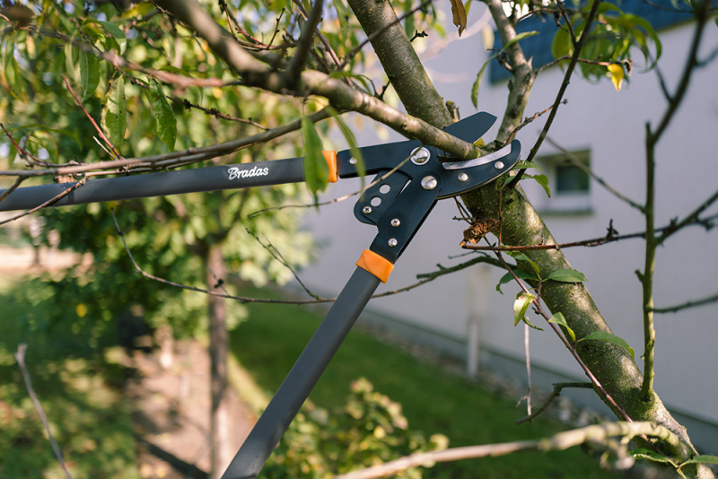 Sekator V-series-d do gałęzi z przekładnią, ostrze kowadełkowe